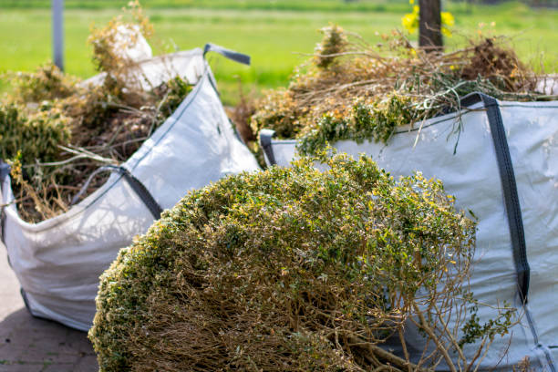 Yard Cleanup Services in Jermyn, PA